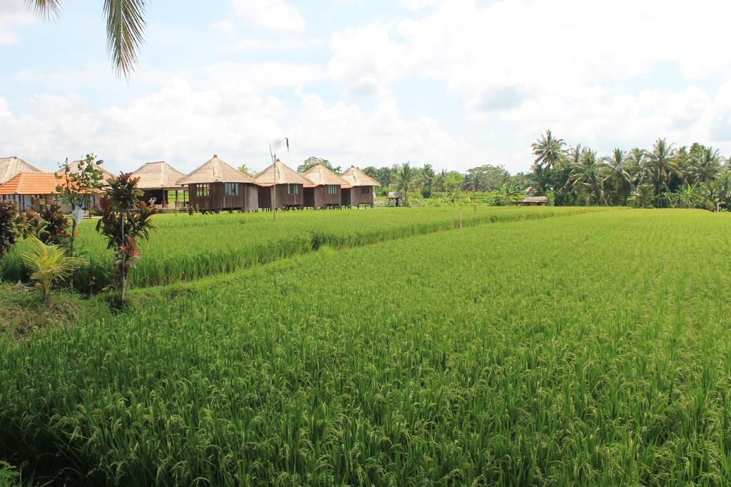 Taman Bintang Villa Ubud Ngoại thất bức ảnh